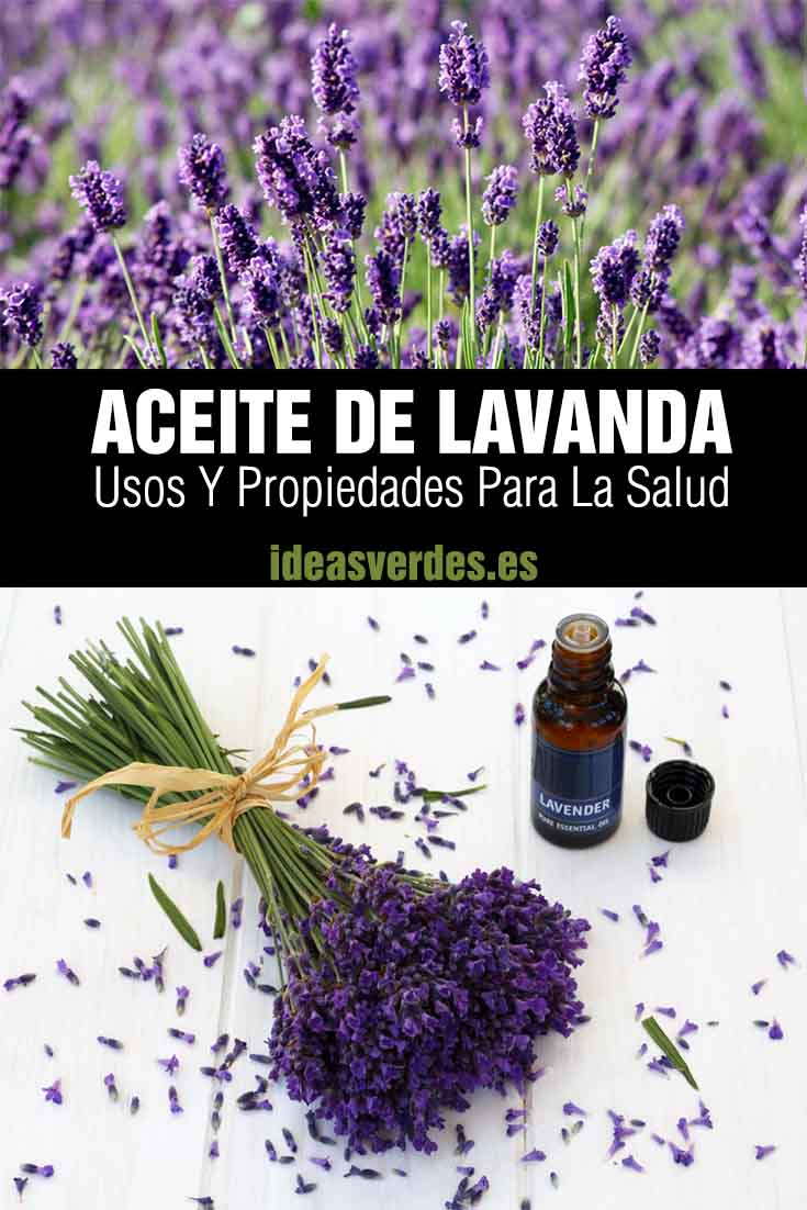 properties of lavender oil