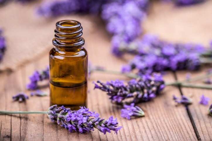 properties of lavender essential oil