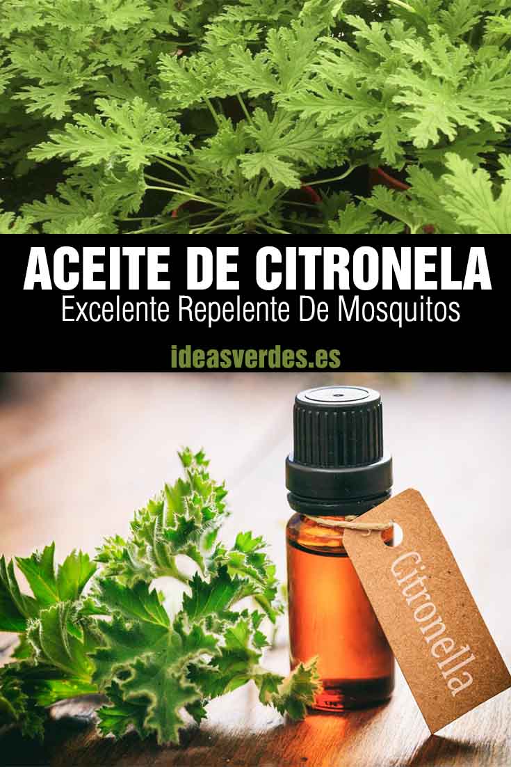 mosquito citronella oil