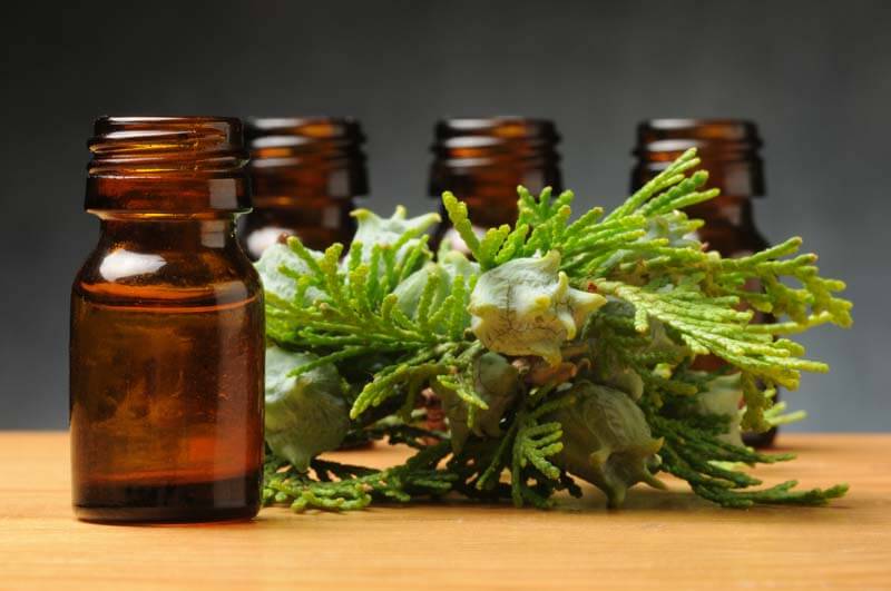 Benefits of cypress oil