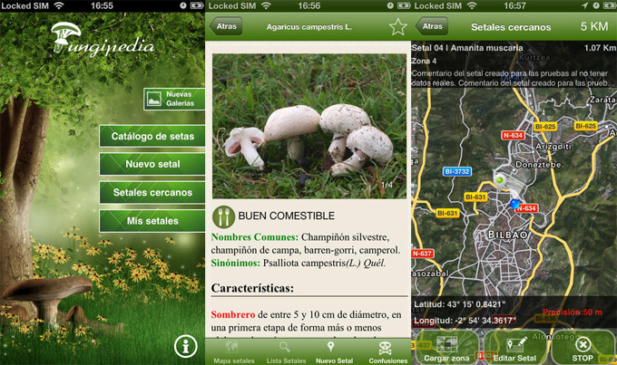 mushroom app