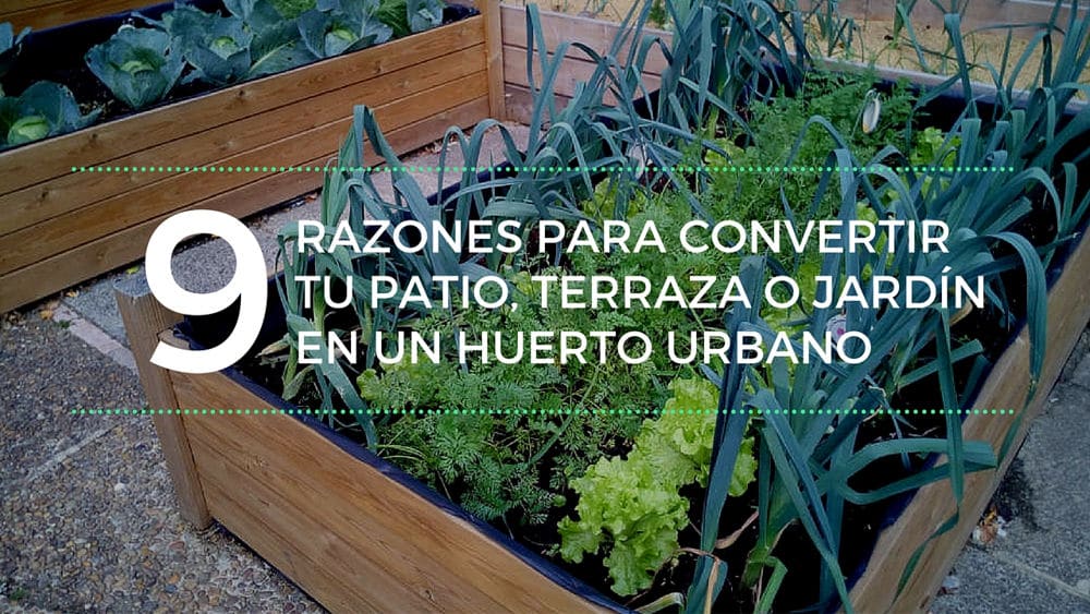 9 reasons to turn your patio, terrace or garden into an urban garden