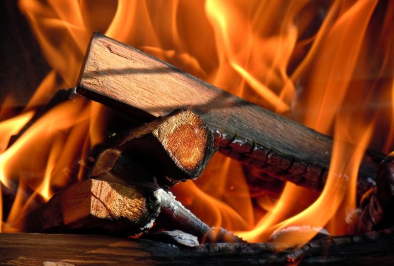 firewood for biomass