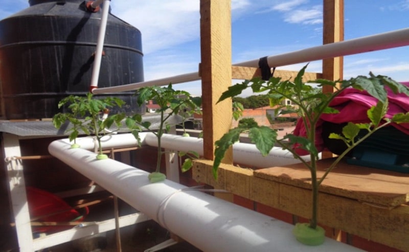 Home and experimental trial in organic hydroponics, the future of agriculture