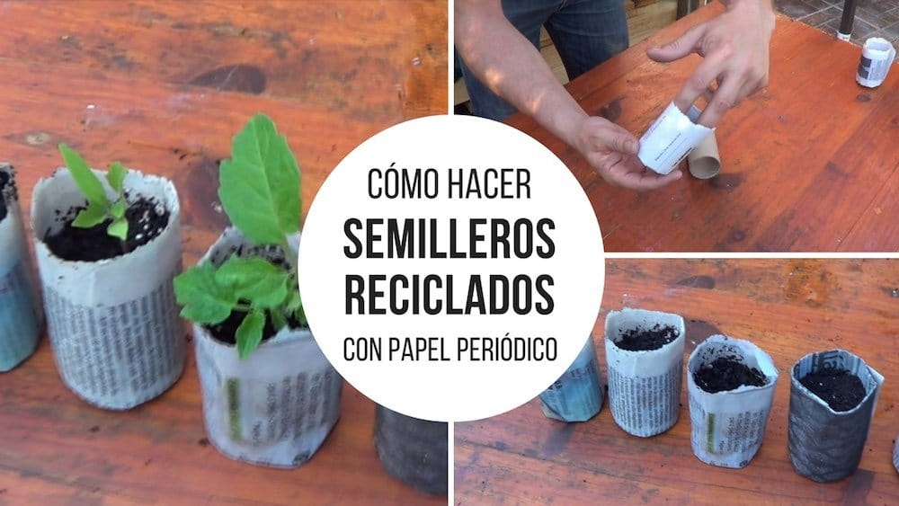 How to make recycled seedlings with newspaper