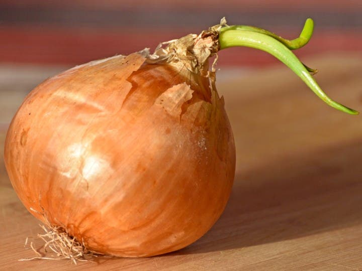 onions, bulbs, garlic, cupboard, vegetables, basement, storage