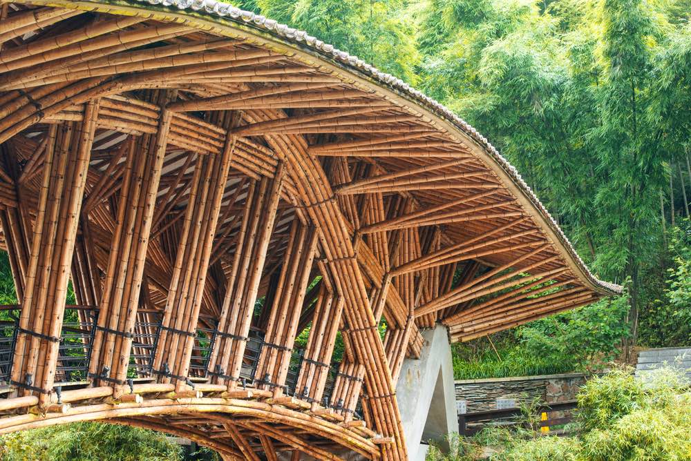 Manual online para construir con bambú