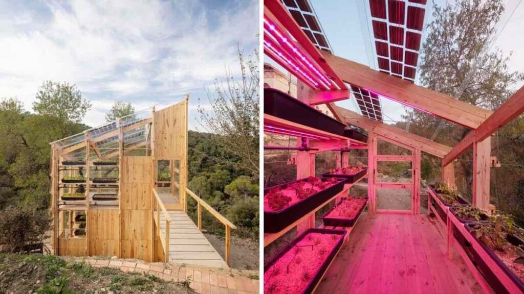 Students design a hydroponic solar greenhouse for energy production and self-sufficient cultivation in a local environment
