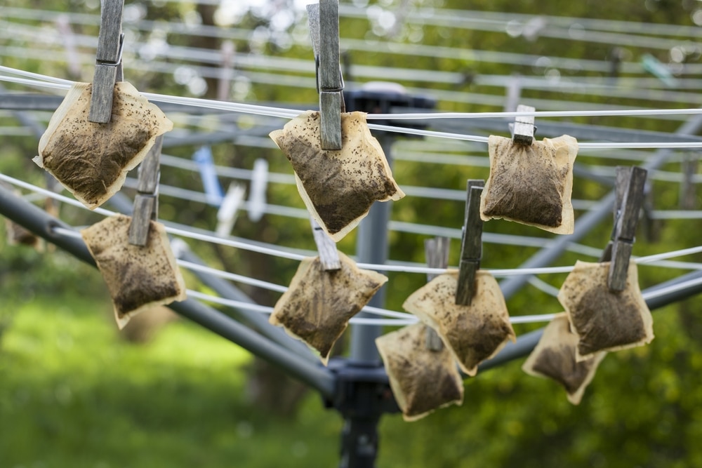 How to reuse used tea bags
