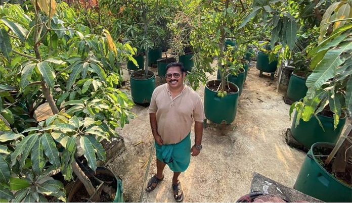 Indio tiene huerta de 135 árboles frutales en bidones de plástico