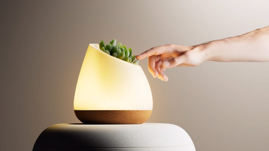 Bioo Lux, the world's first interactive lamp that uses a plant as a biological switch