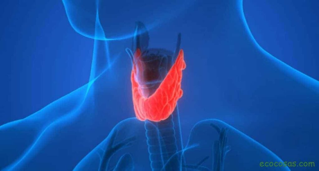 Home remedies and natural treatments for thyroid