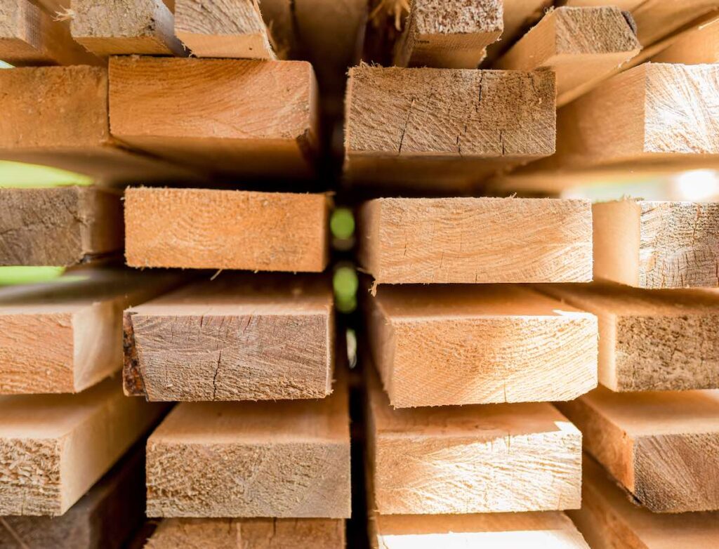 Growing wood in the lab is a step towards 3D printable wood