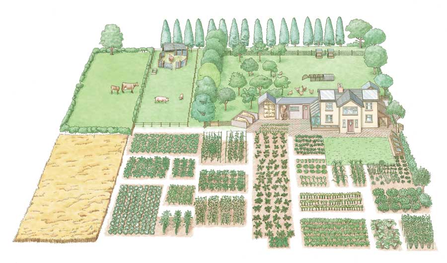 How to have a self-sufficient farm on half a hectare