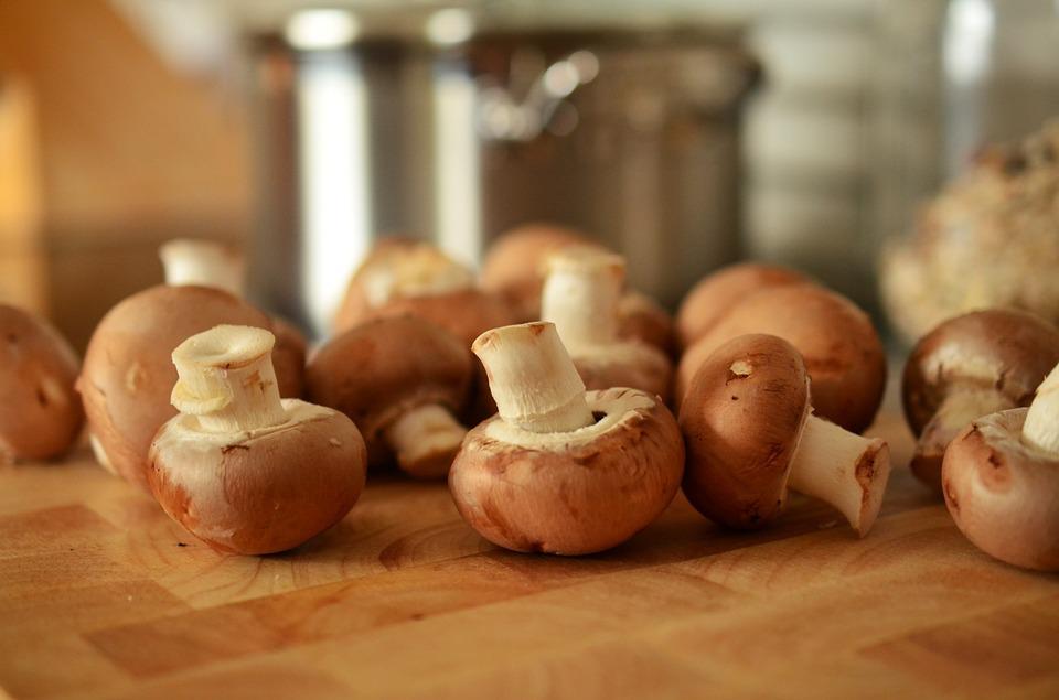 Mushrooms and their incredible benefits for the body 1