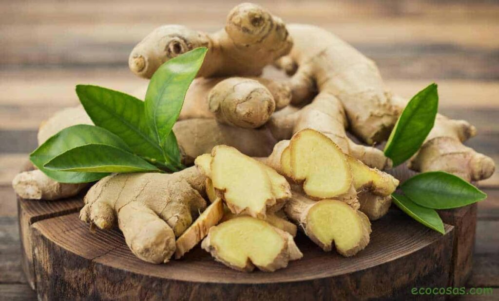 Ginger, its properties, its benefits and what it is used for