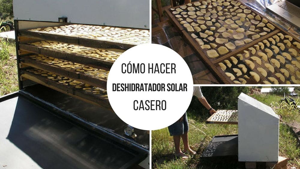 Preserve your fruits and vegetables with a homemade solar dehydrator