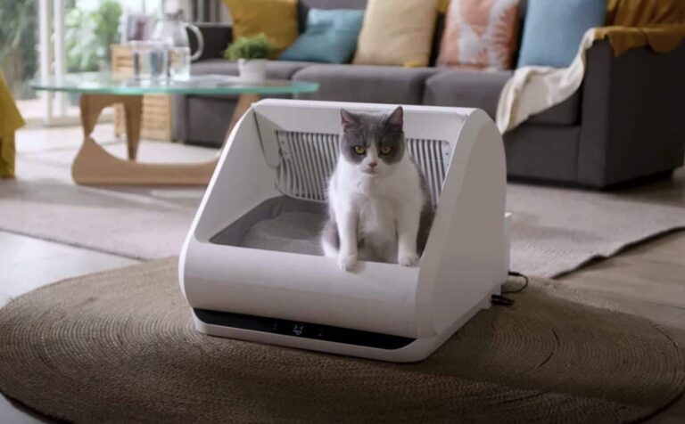 The ingenious self-cleaning litter box that automates cat waste management