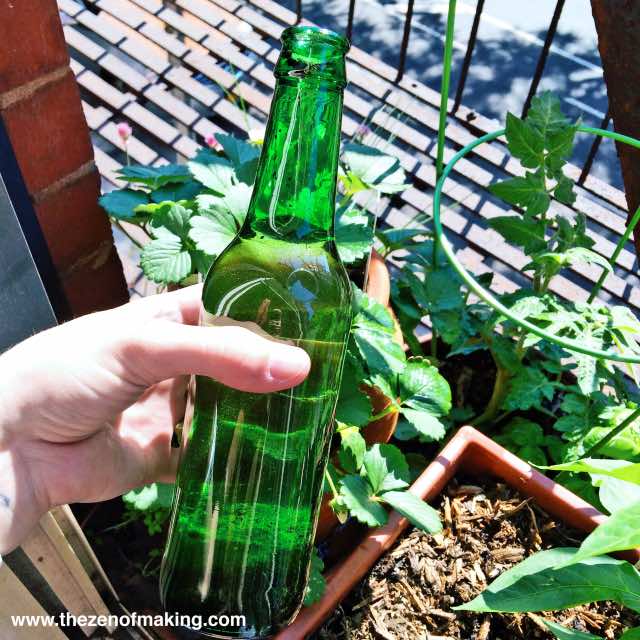 How to use a glass bottle as a self-contained irrigation system 3