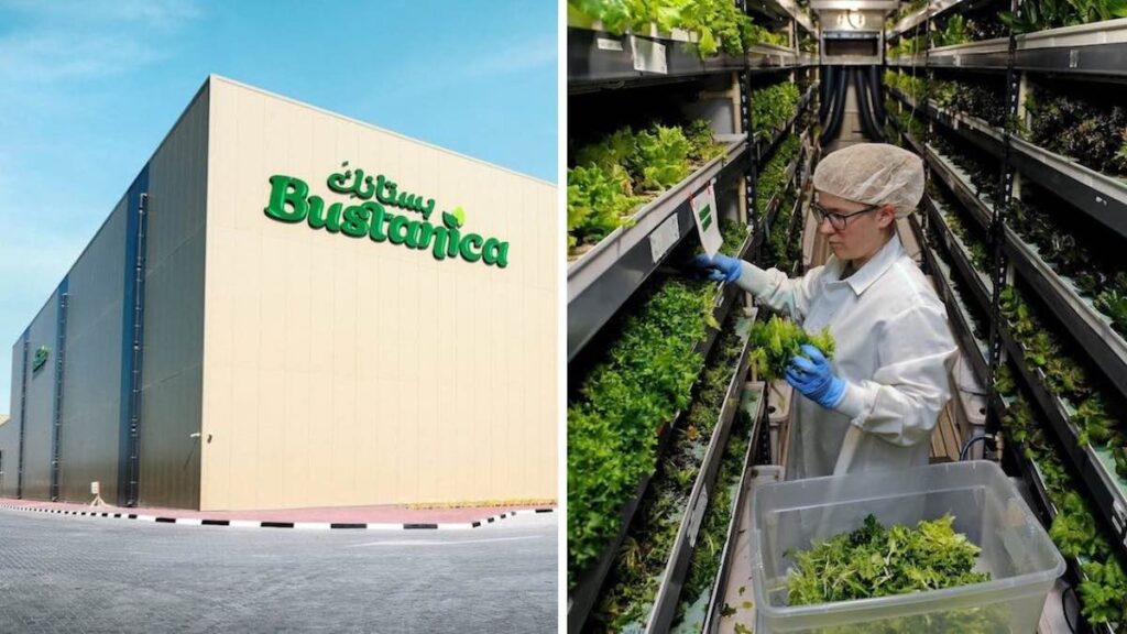 From importing all its food to paving a path to self-sufficiency, Dubai is building the world's largest vertical farm