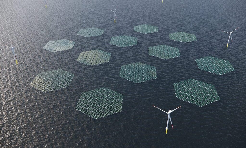 SolarDuck and RWE will build a spectacular and innovative floating solar park in the North Sea