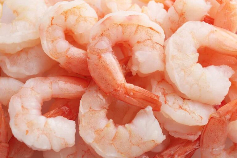 Eco-friendly alternative to seaweed-based prawns could soon hit supermarkets