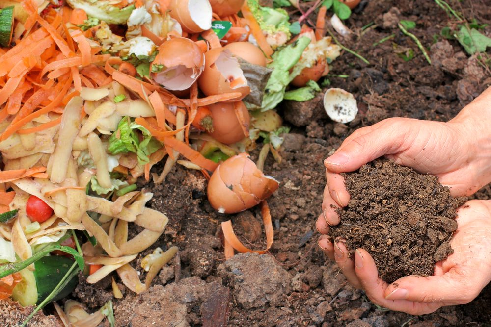¿Qué sucede cuando entierras restos de comida en el jardín?