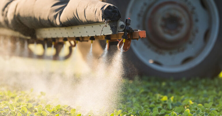 What impacts do the most used pesticides have on health in Paraguay?