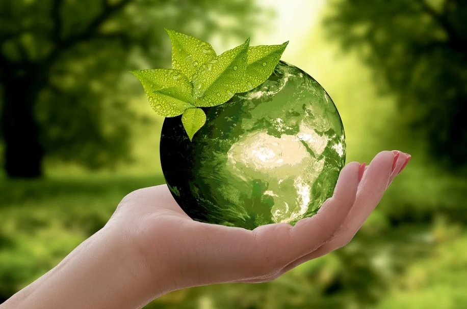 Green facts about the environment