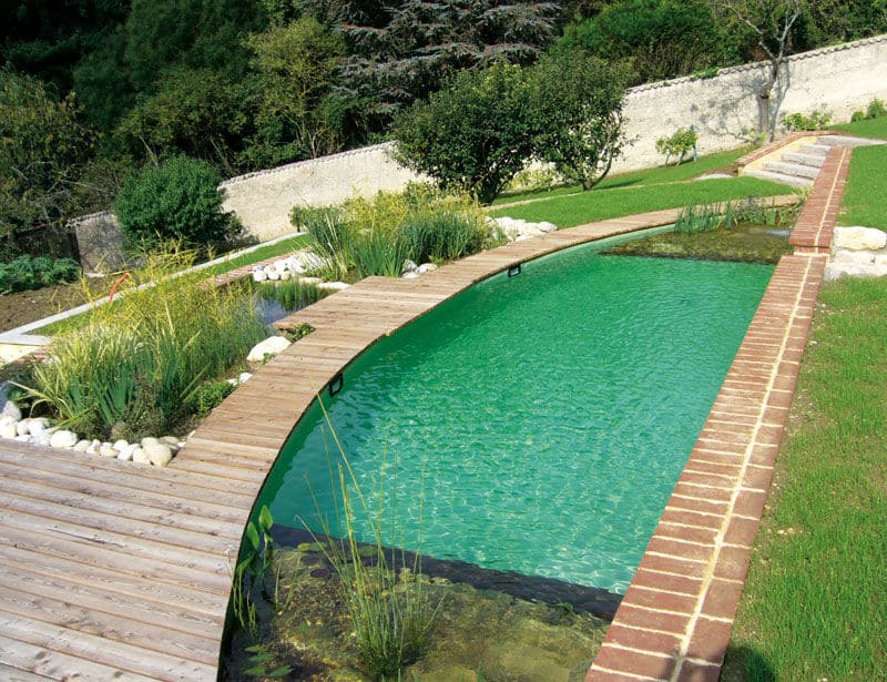 natural pool ideas