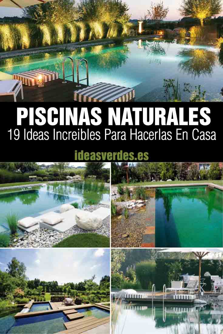 natural pool ideas for the garden