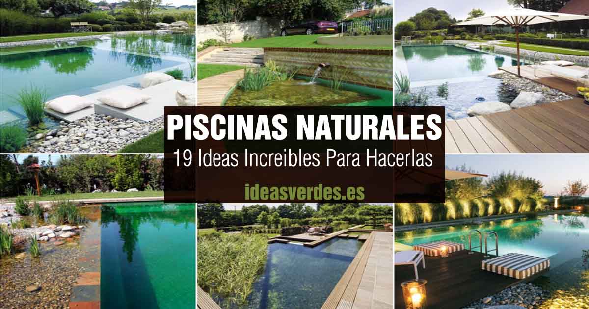natural pool ideas for home