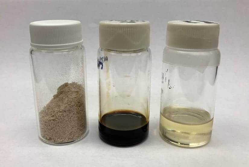 Catalytic process with lignin could give us 100% sustainable aviation fuel