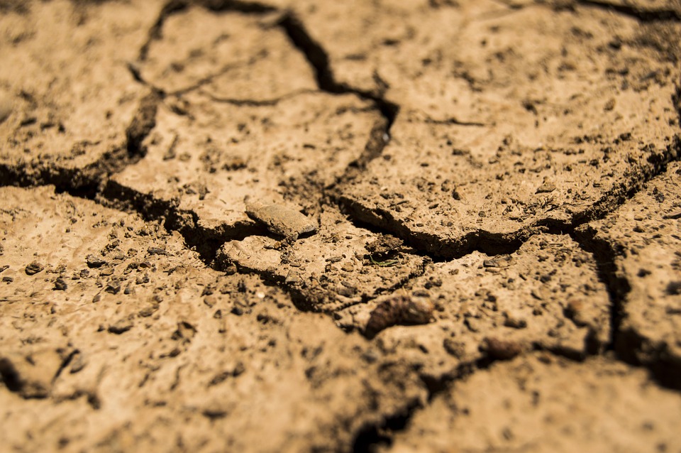 Climate change is responsible for extreme drought