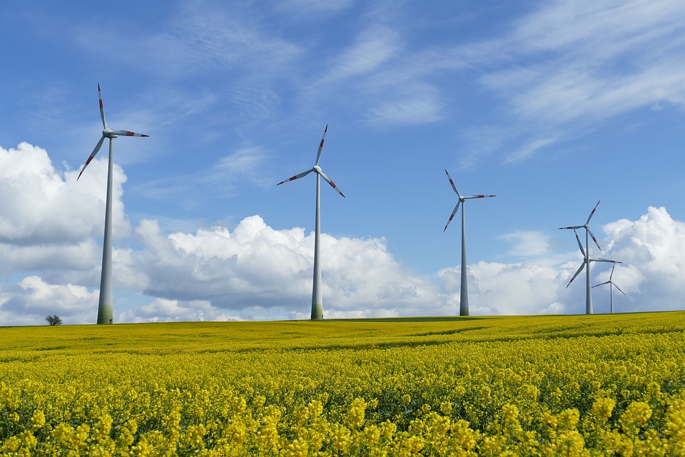 Wind energy production increases in Europe