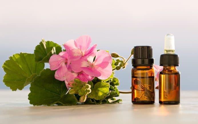 properties of geranium essential oil