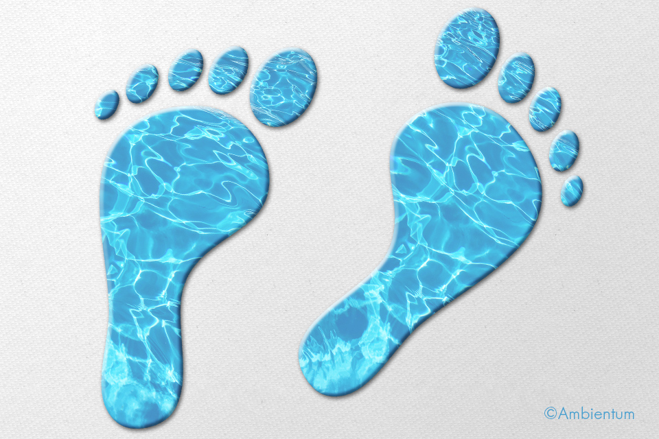 What is the water footprint?