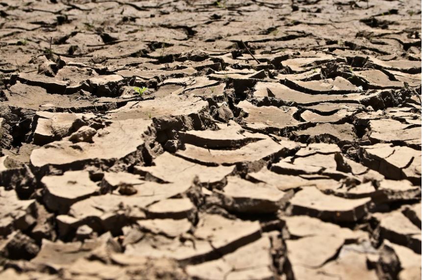 The Earth suffered extreme droughts in 2021