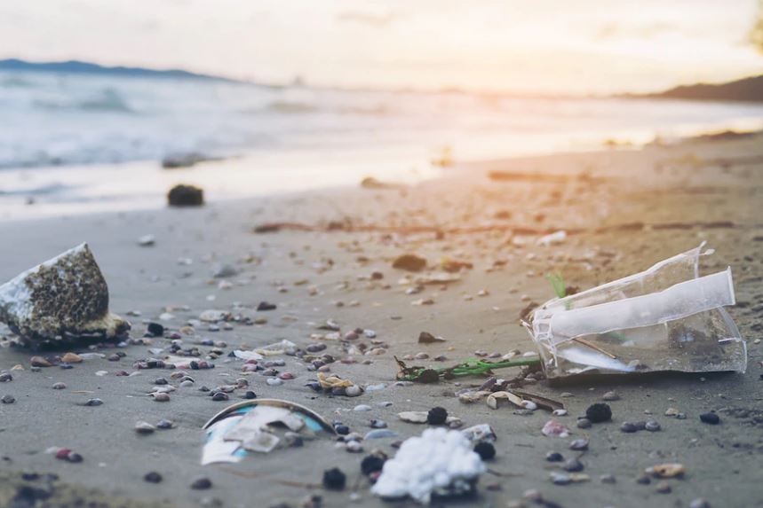 Reducing plastic consumption to protect the oceans