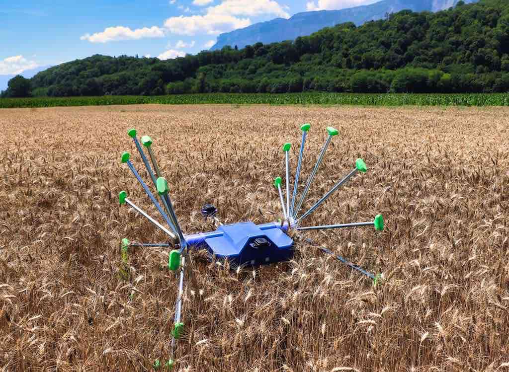 SentiV: el robot autónomo que vigila e inspecciona los cultivos rodando por los campos