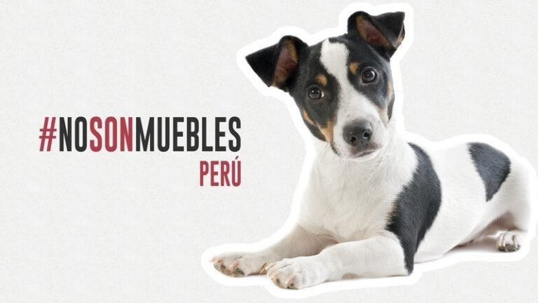 "No Son Muebles", "bienes muebles", animales, seres sintientes, Ley, Perú