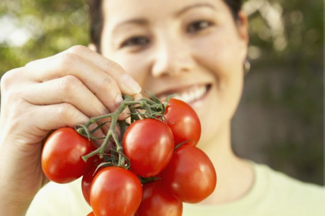 tomates en pérgola, cultivo, compost, abono, cobertura, germinación, cosecha, huerto en casa