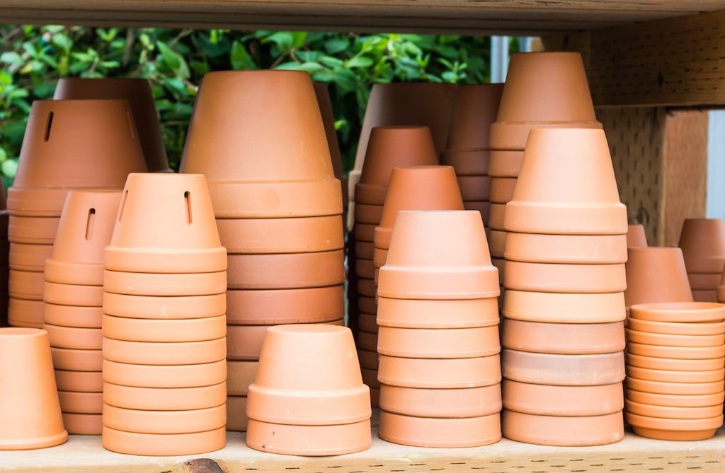 8 things to know before using terracotta pots