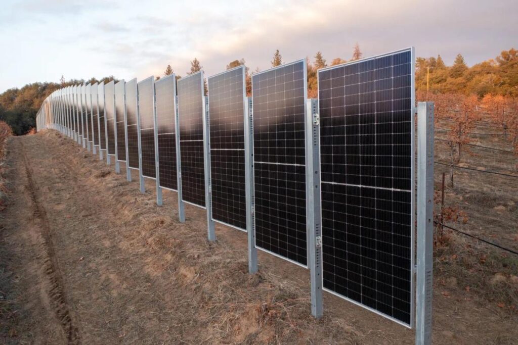 Sunzaun, new vertical solar systems specially designed for farms and orchards