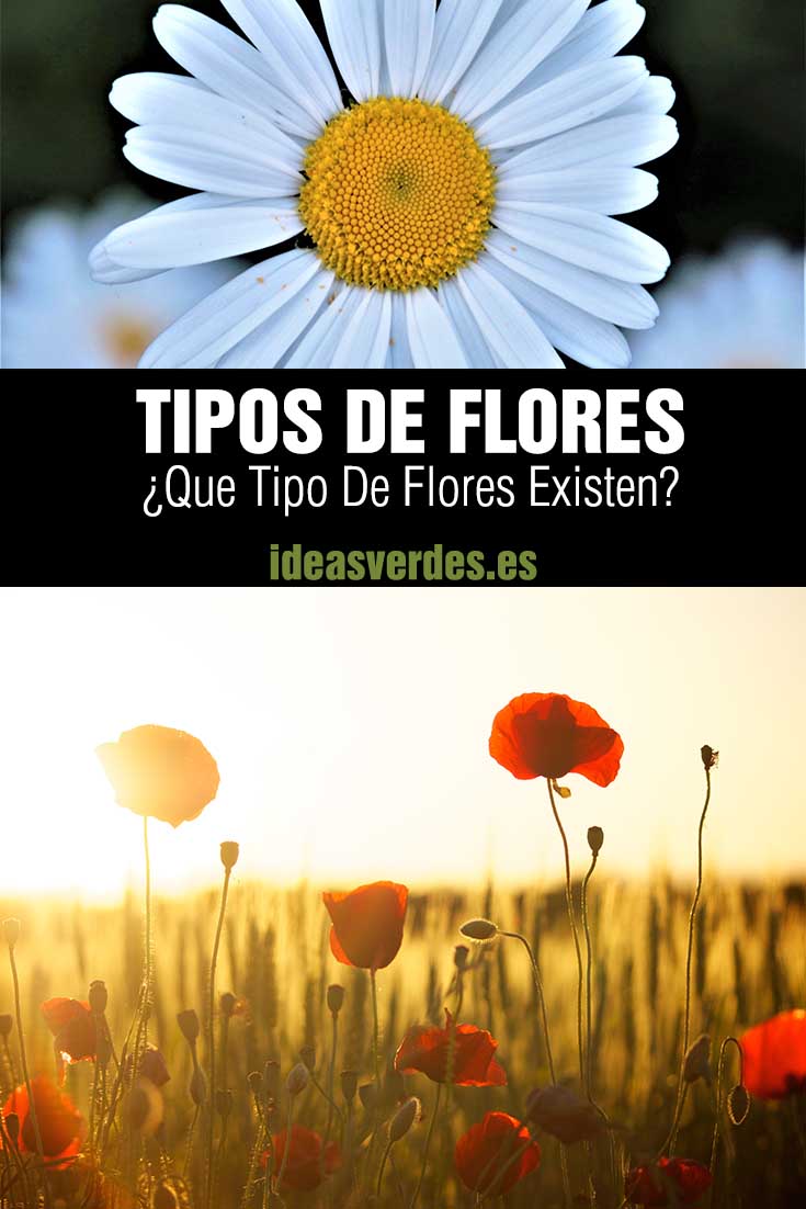 types of flowers exist