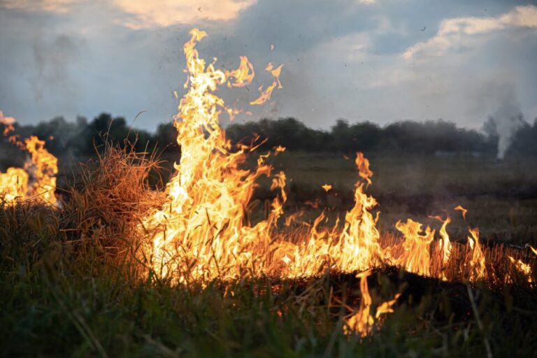Ecofire, the revolutionary Spanish invention against fires