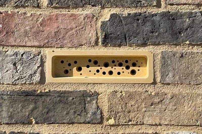 shelter bees in the city