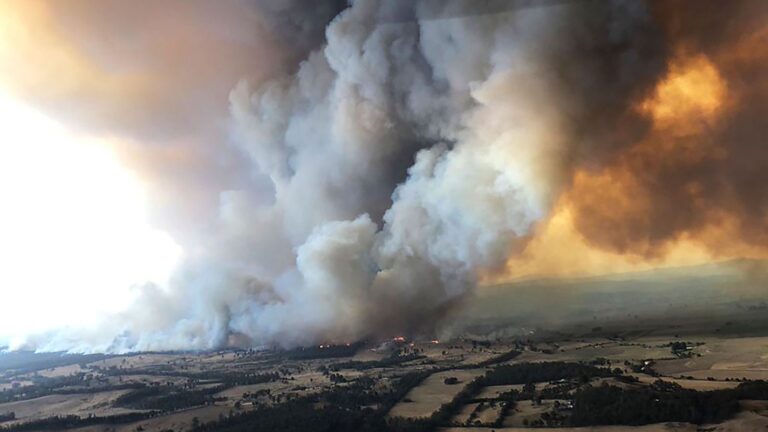 incendios forestales, incendios de Australia, capa de ozono, gases de efecto invernadero, aerosoles