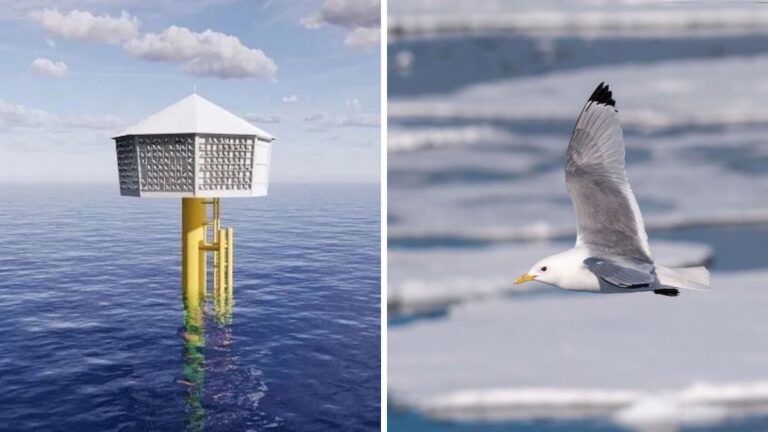 Ørsted is building artificial nests at the world's largest wind farm to protect kittiwakes