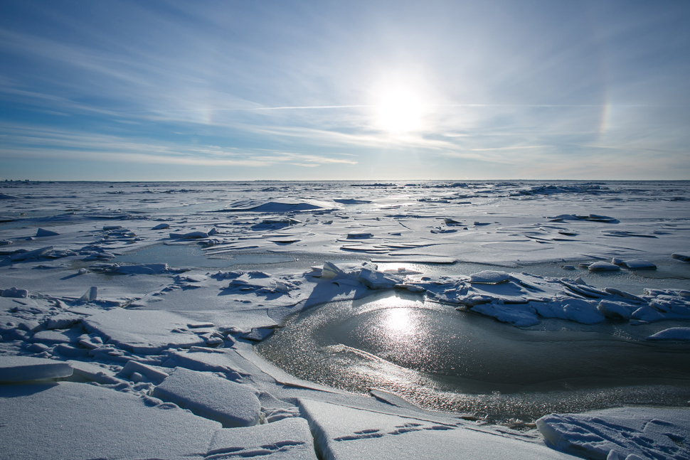 The melting of the Arctic will take place from 2030